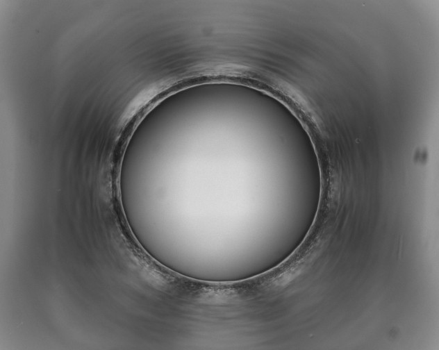 X0000090700978200707271105