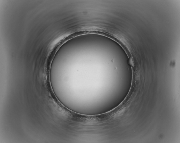 X0000090700979200707271105