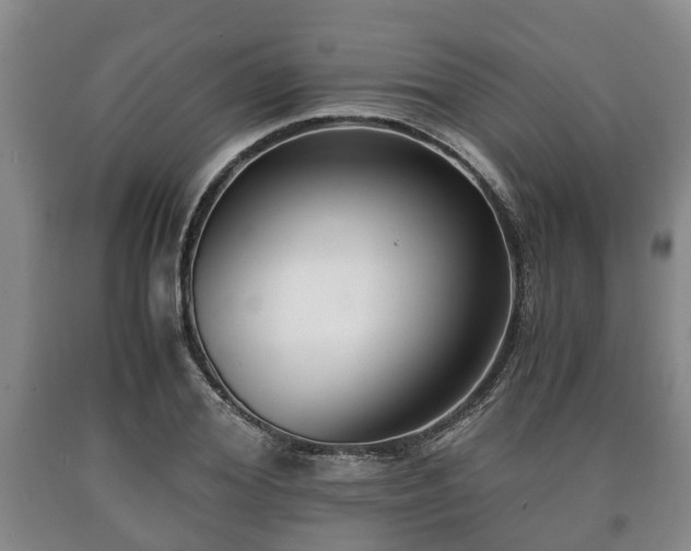 X0000090700980200707271105