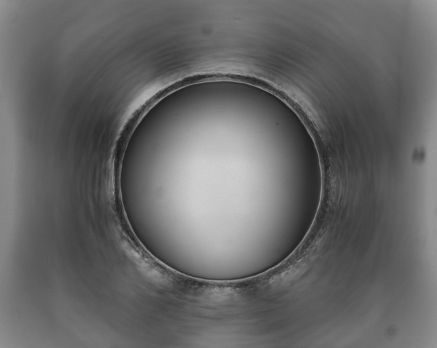 X0000090700982200707271105