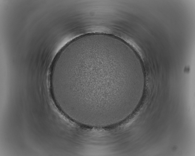 X0000090700983200707271105