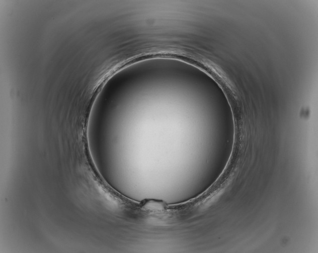 X0000090700985200707271105