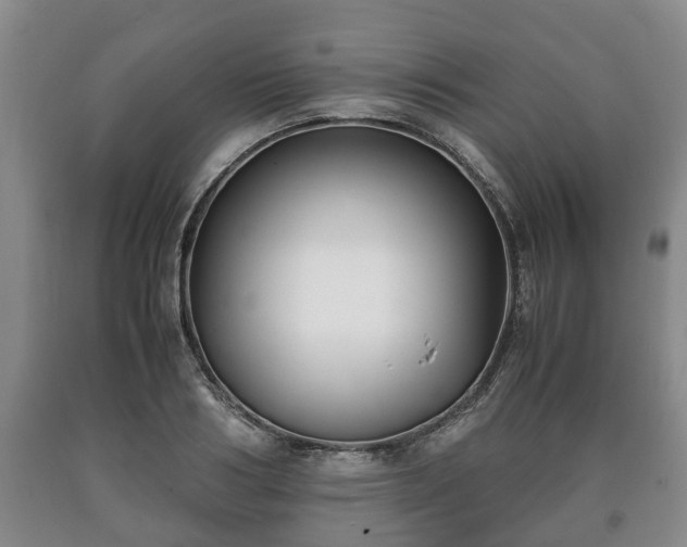 X0000090700986200707271105