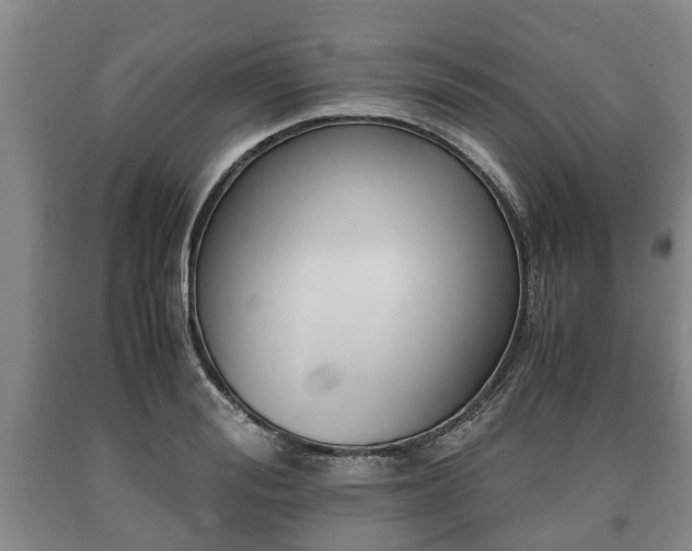 X0000090700988200707271105