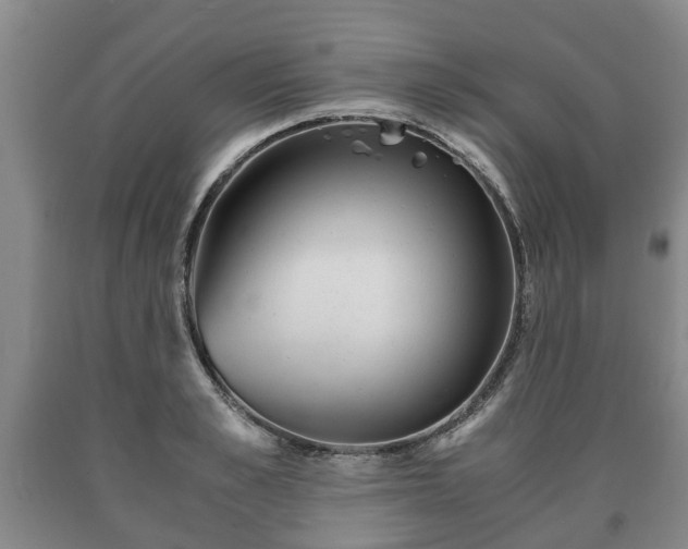 X0000090700989200707271105