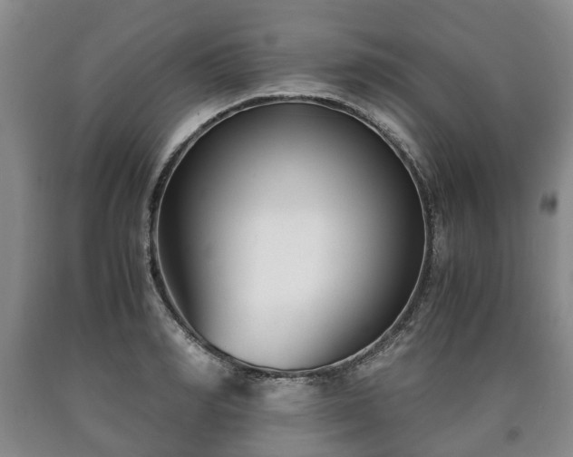 X0000090700990200707271105