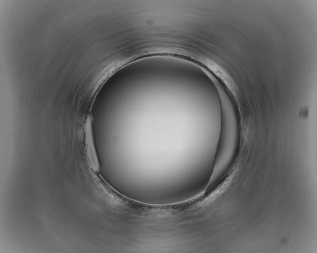 X0000090700993200707271105