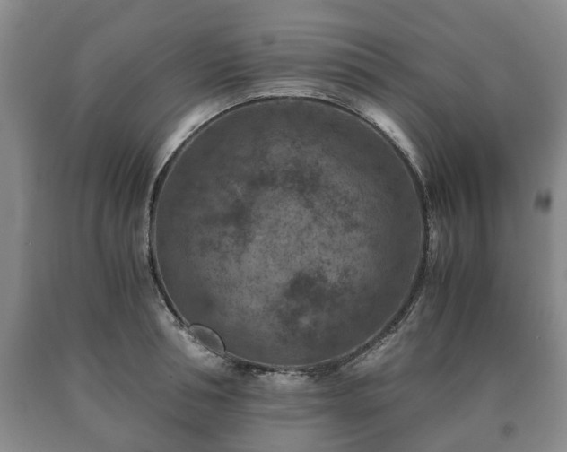 X0000090700994200707271105