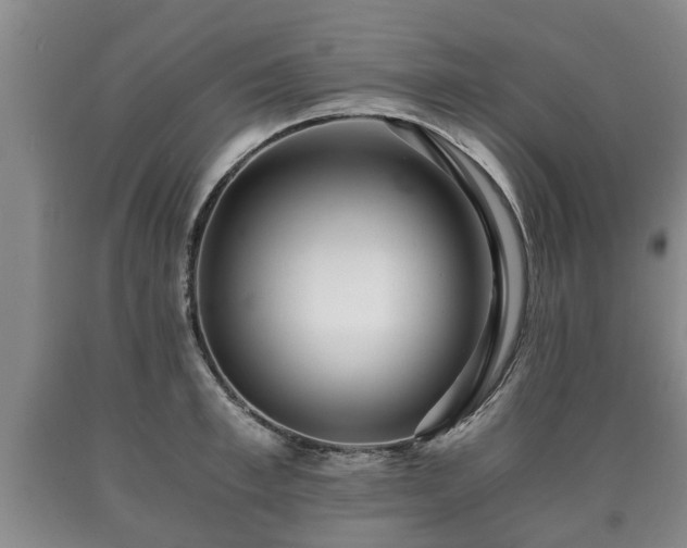 X0000090700997200707271104