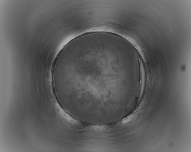 X0000090700998200707271104