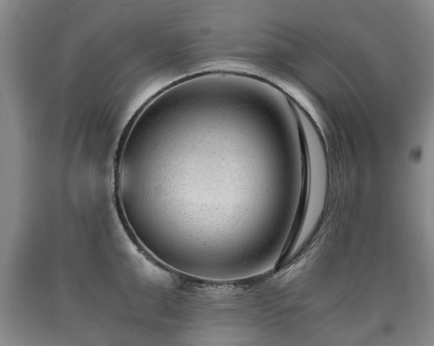 X0000090700999200707271104