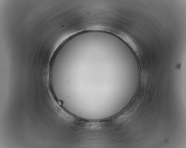 X0000090701000200707271104