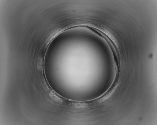 X0000090701001200707271104