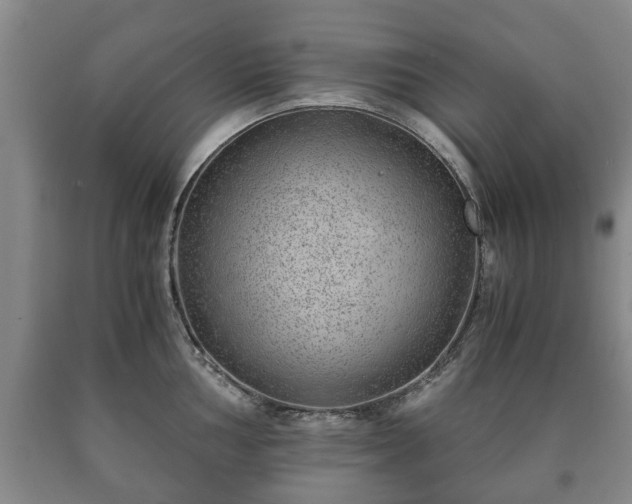 X0000090701002200707271104