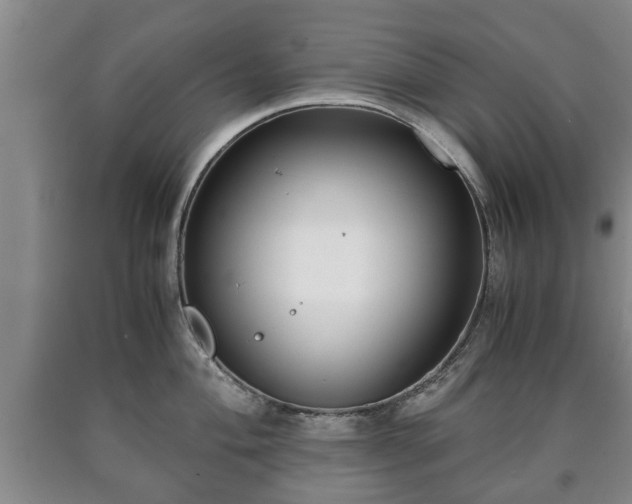 X0000090701004200707271104