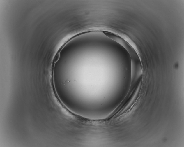 X0000090701005200707271104