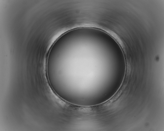 X0000090701006200707271104