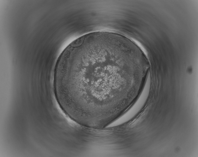 X0000090701007200707271104