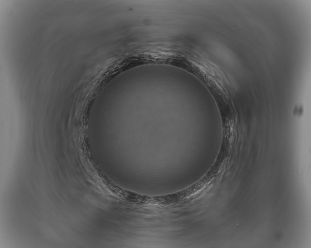 X0000090701009200707271104