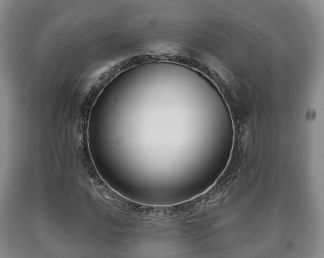 X0000090701016200707271104