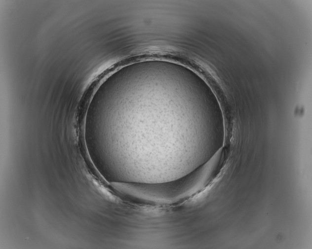 X0000090701018200707271104