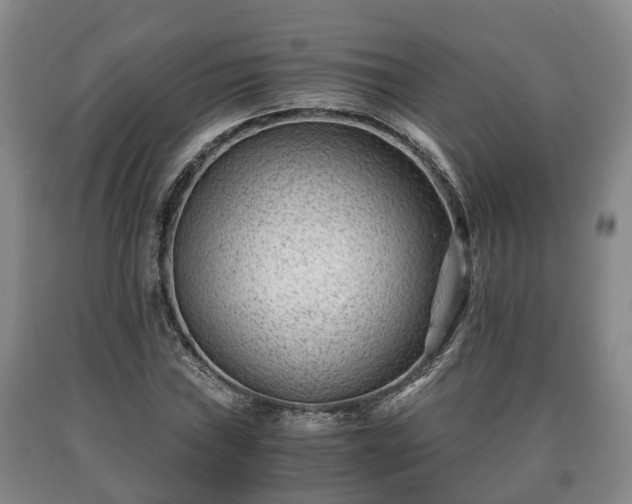 X0000090701019200707271104