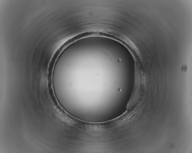 X0000090701020200707271104