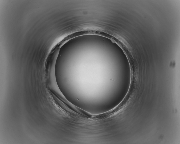 X0000090701022200707271104