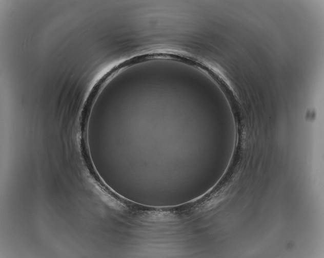 X0000090701024200707271104