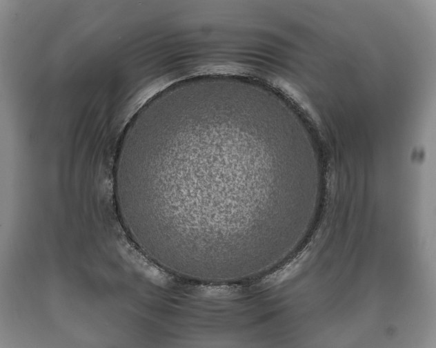 X0000090701025200707271104