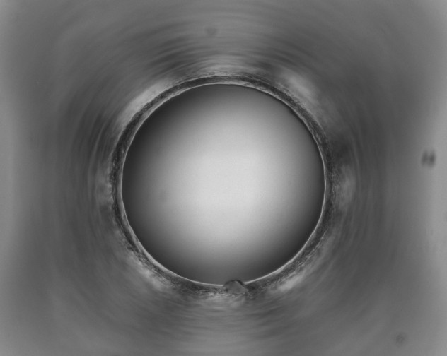 X0000090701026200707271104