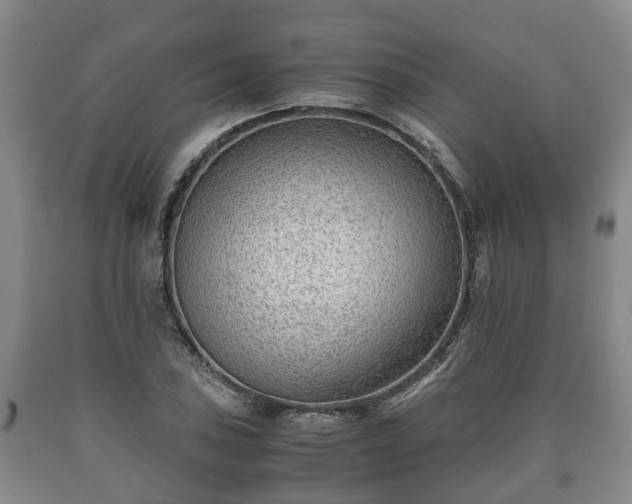 X0000090701027200707271104