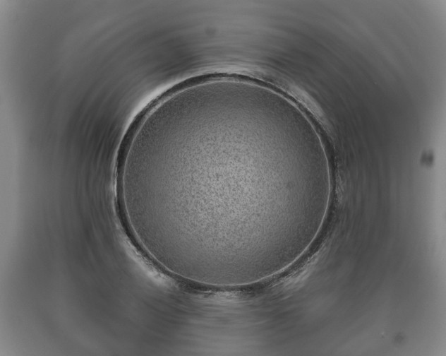 X0000090701028200707271104