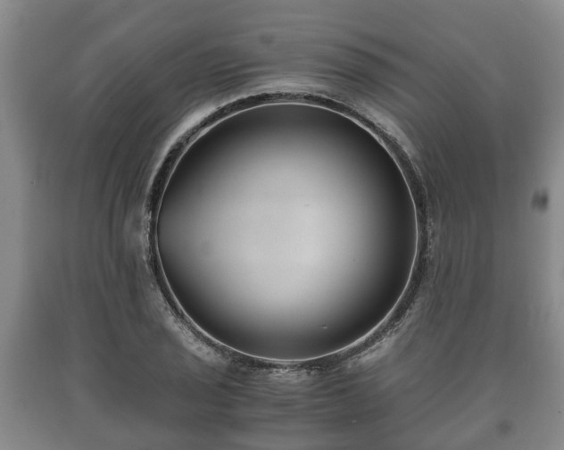 X0000090701029200707271104