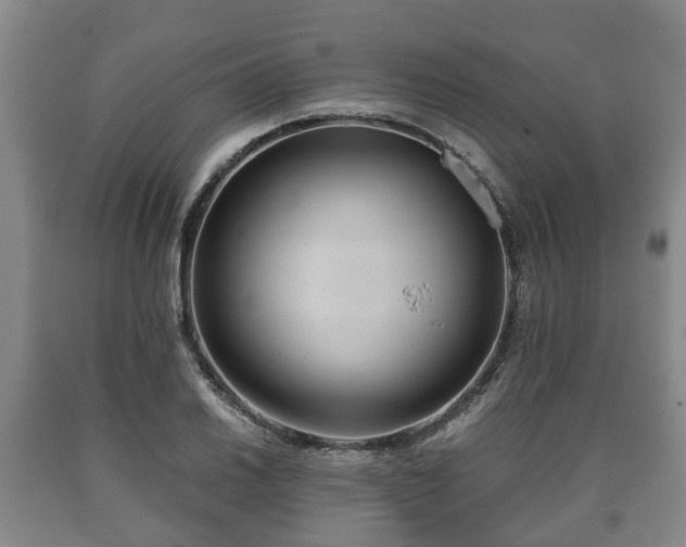 X0000090701030200707271104