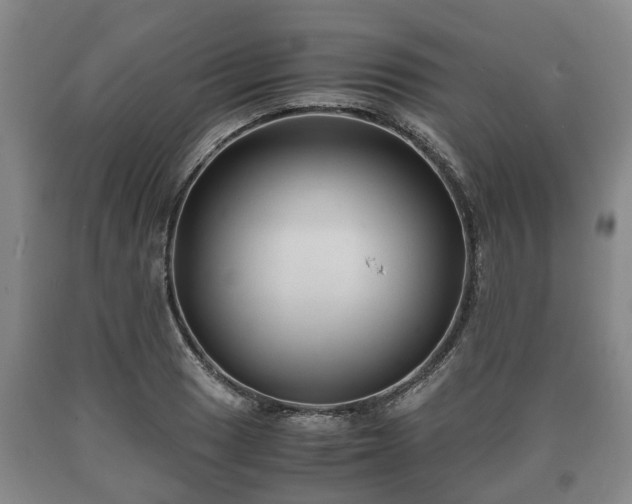 X0000090701033200707271104