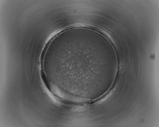 X0000090701034200707271104