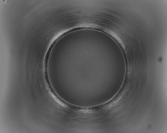 X0000090701037200707271104