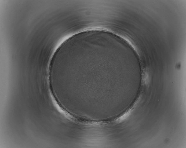 X0000090701038200707271104