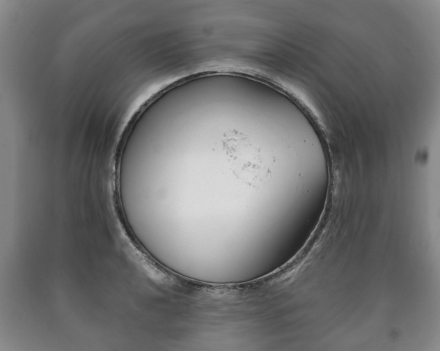 X0000090701040200707271104