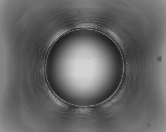 X0000090701041200707271104