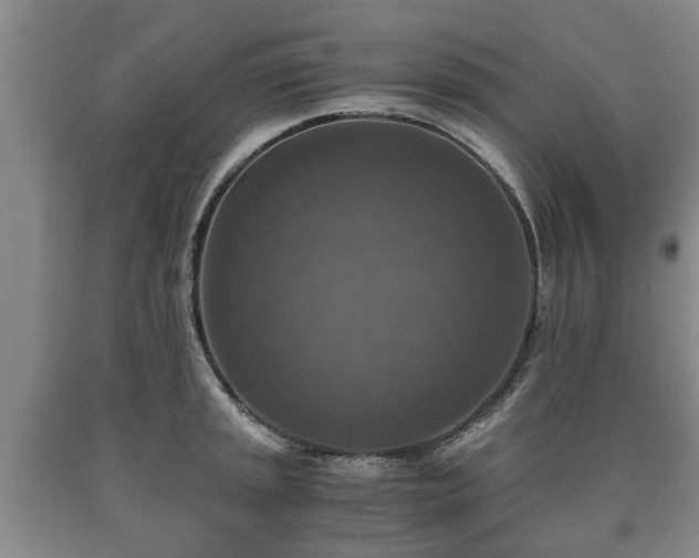 X0000090701045200707271104