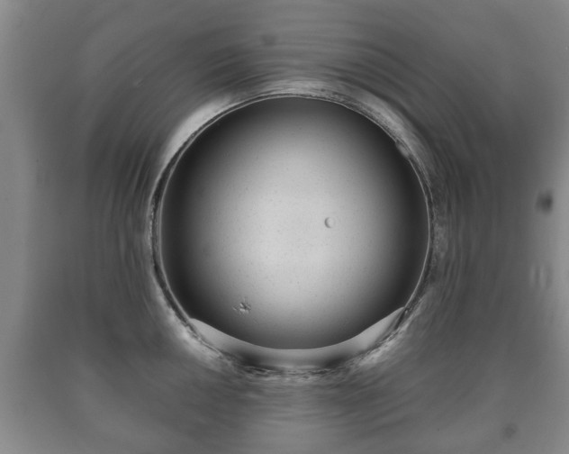 X0000090701050200707271104