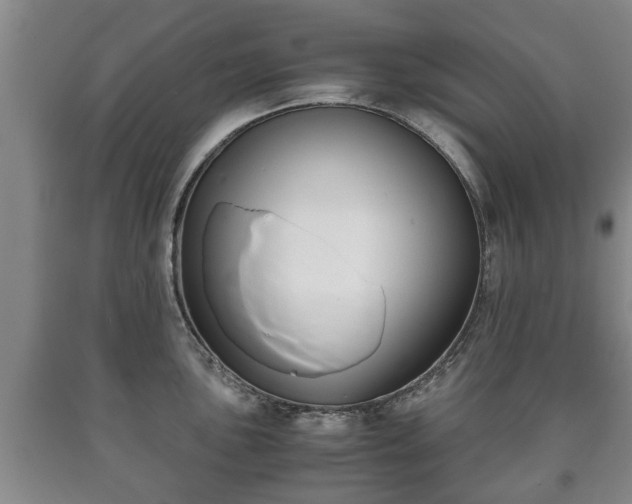 X0000090701051200707271104