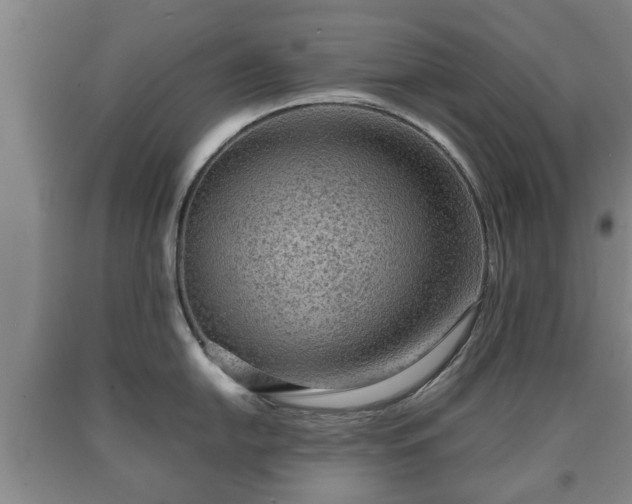 X0000090701054200707271104