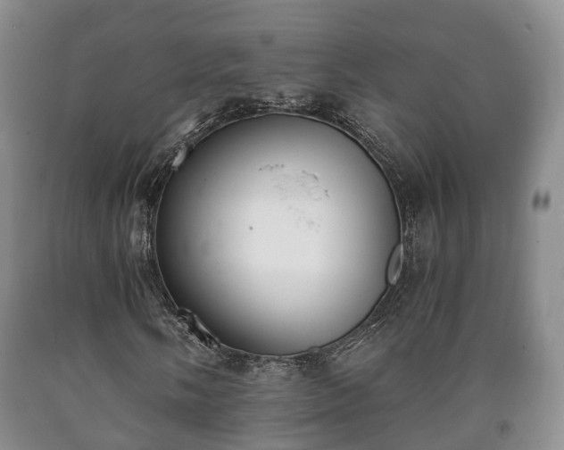 X0000090701058200707271104