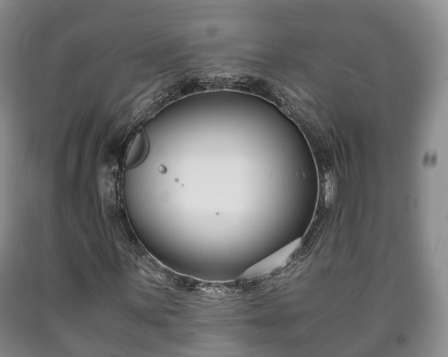 X0000090701059200707271104