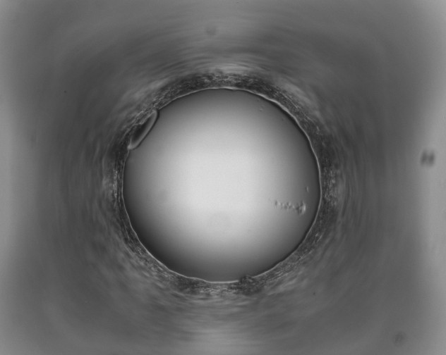 X0000090701061200707271104