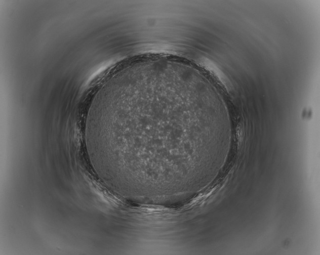 X0000090701064200707271103