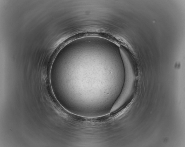 X0000090701065200707271103